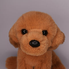 August Golden Retriever