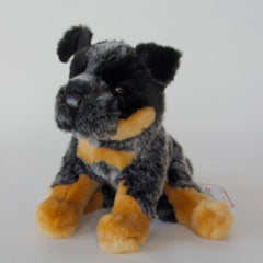 Dexter Australian Cattle Dog