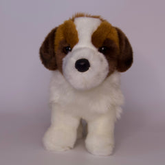 Brutus Saint Bernard