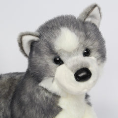 Sasha Husky