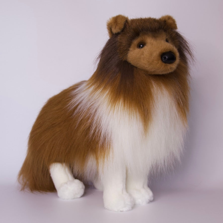 Dixie Sheltie