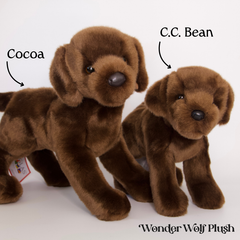 Cocoa Chocolate Labrador