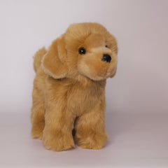 Chap Golden Retriever