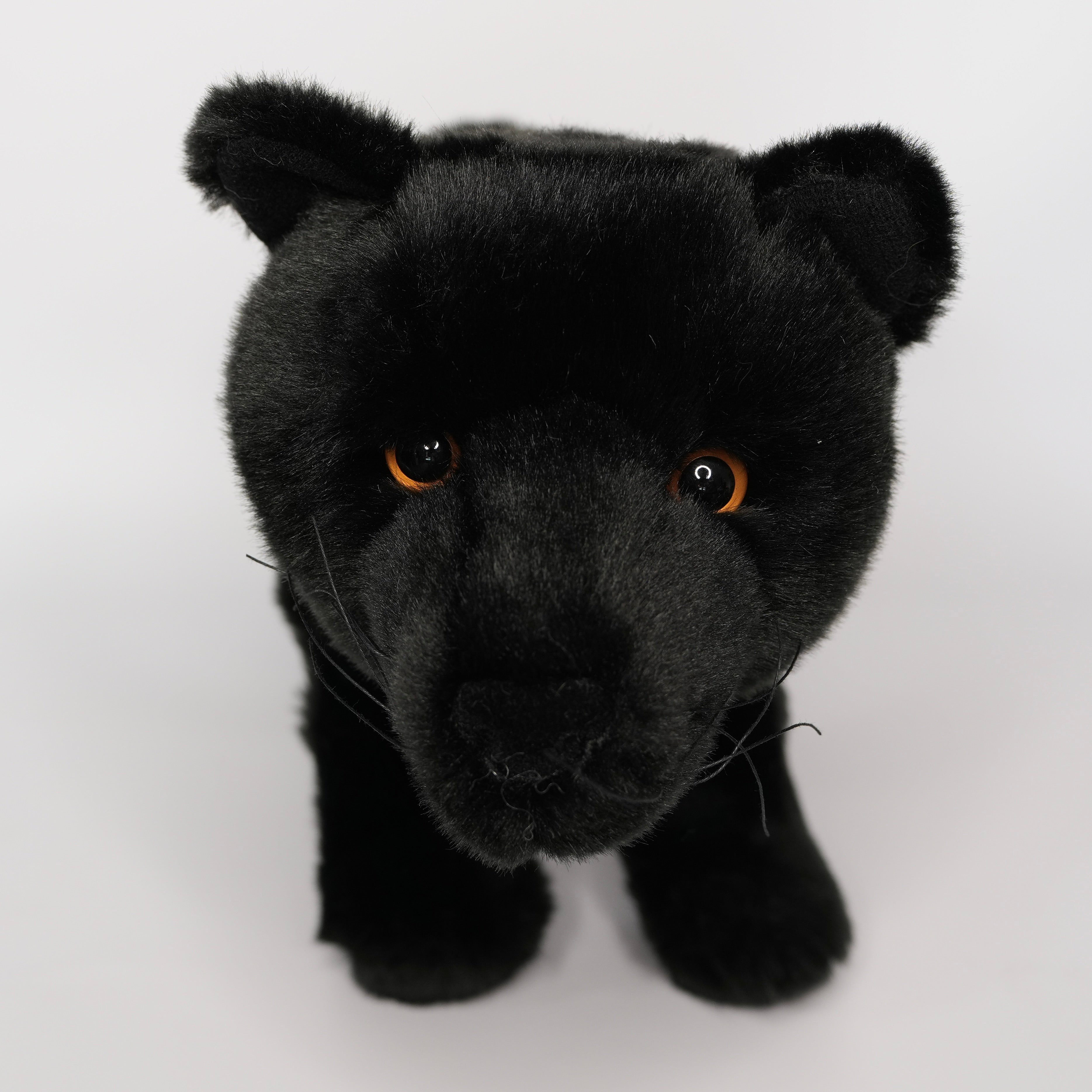 Jagger Black Panther