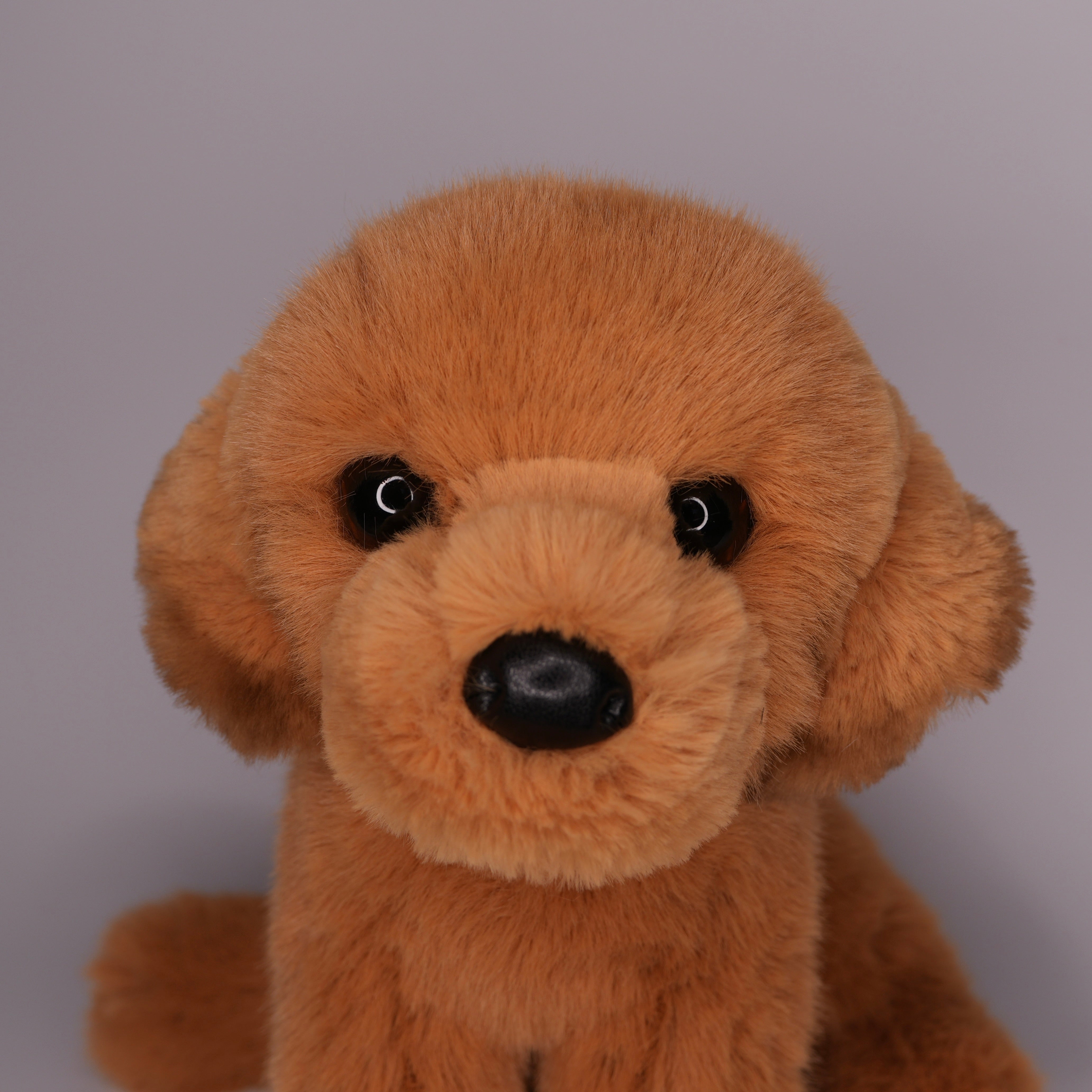 August Golden Retriever