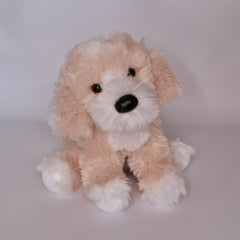 Darcy Goldendoodle