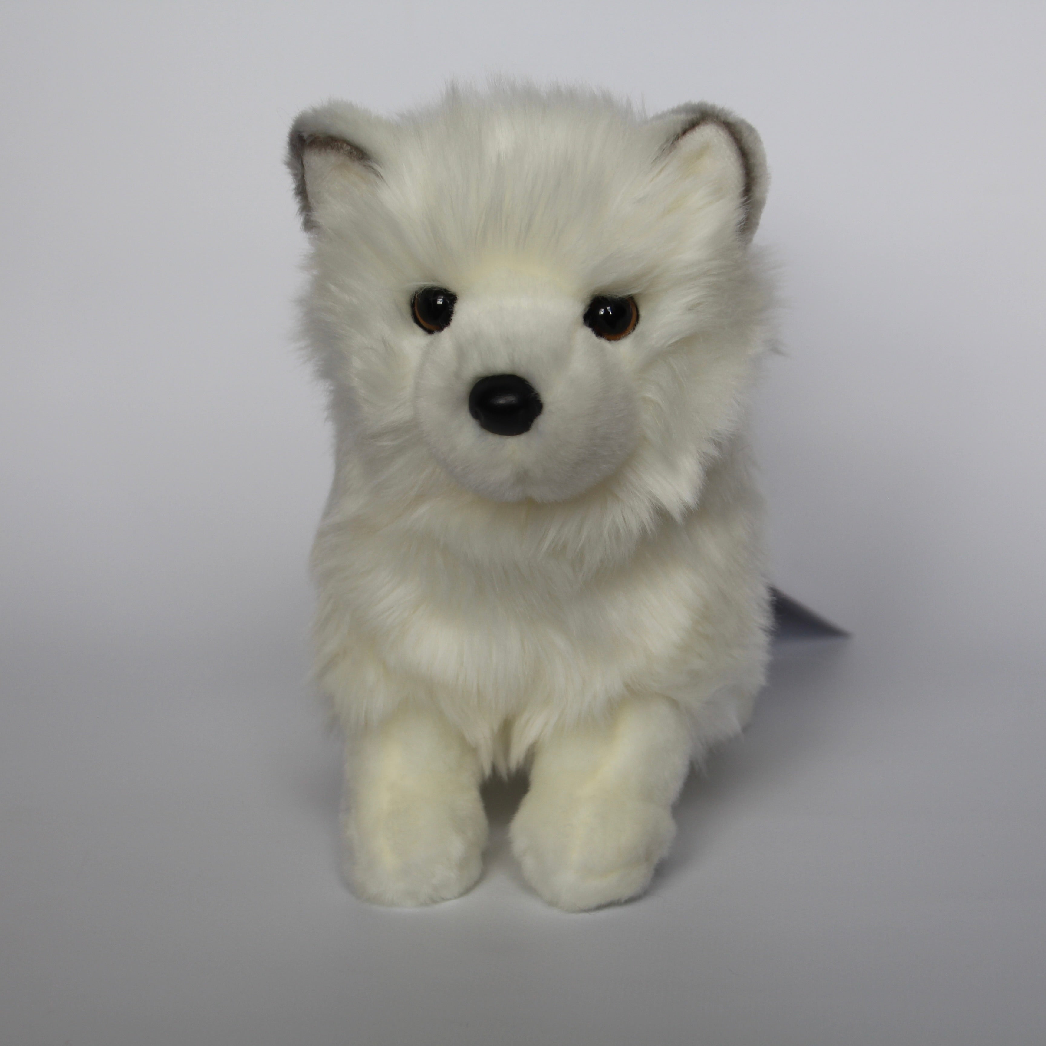 Phoebe Pomsky