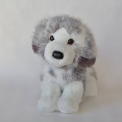 Skylar DLux Australian Shepherd