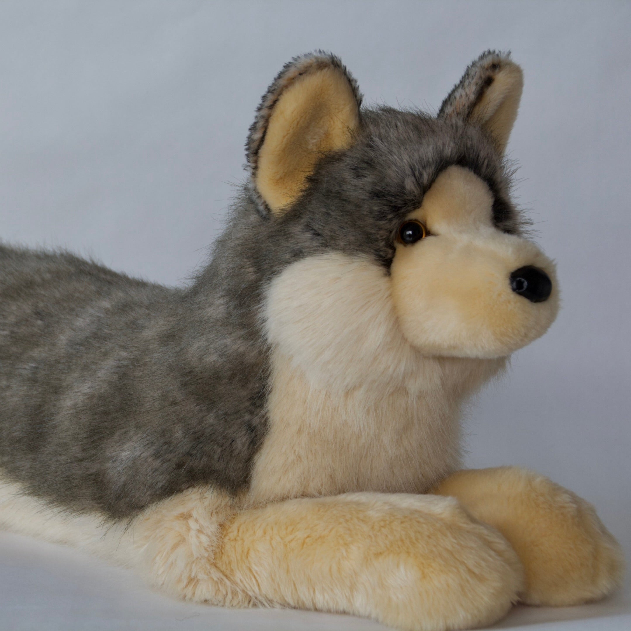 Niko DLux Wolf