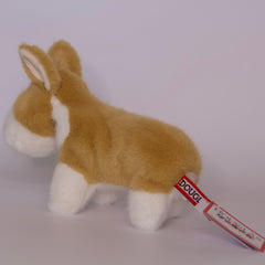 Carl Corgi Muzzle
