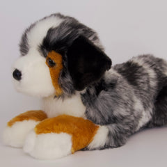 Maizie DLux Australian Shepherd