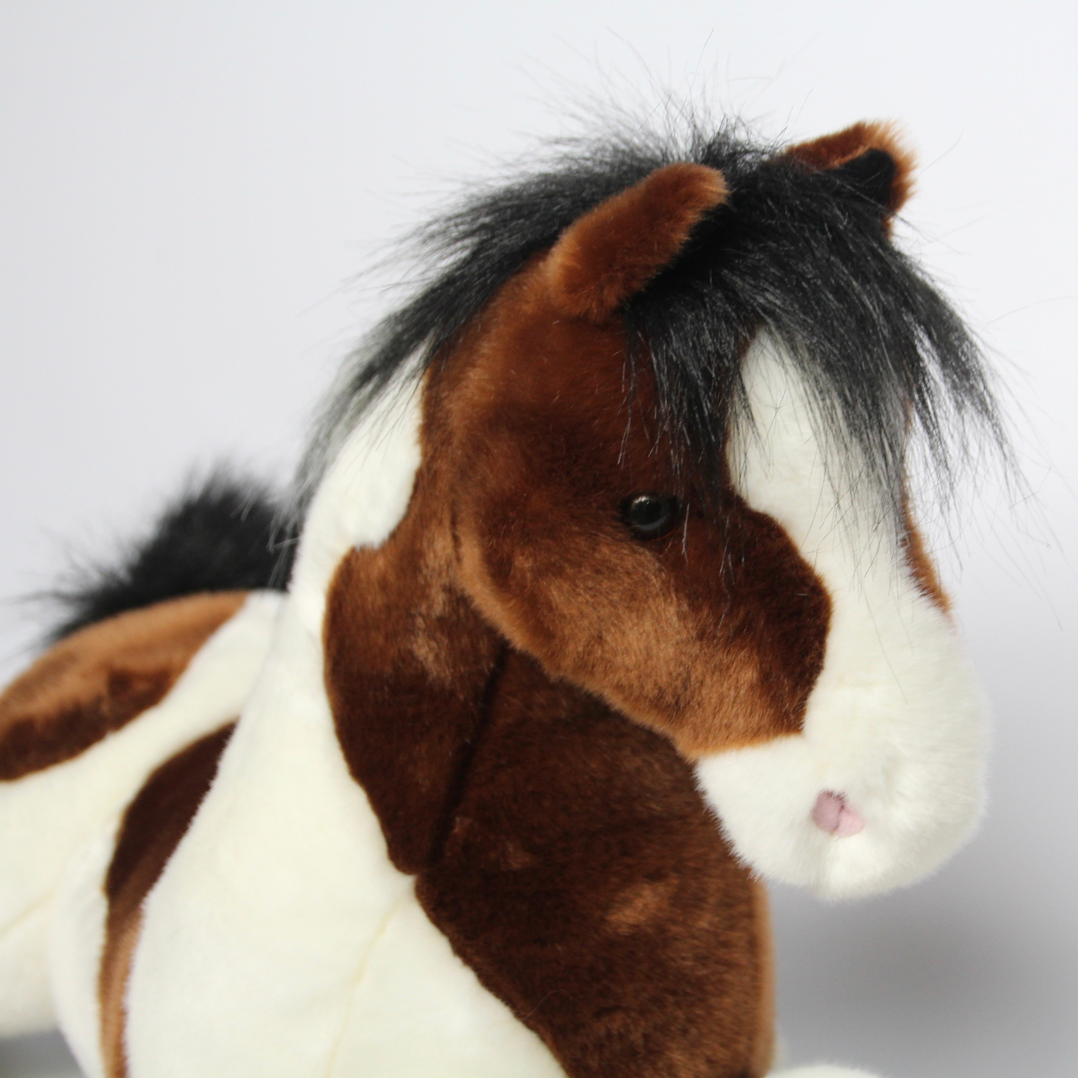 Natches Paint Horse