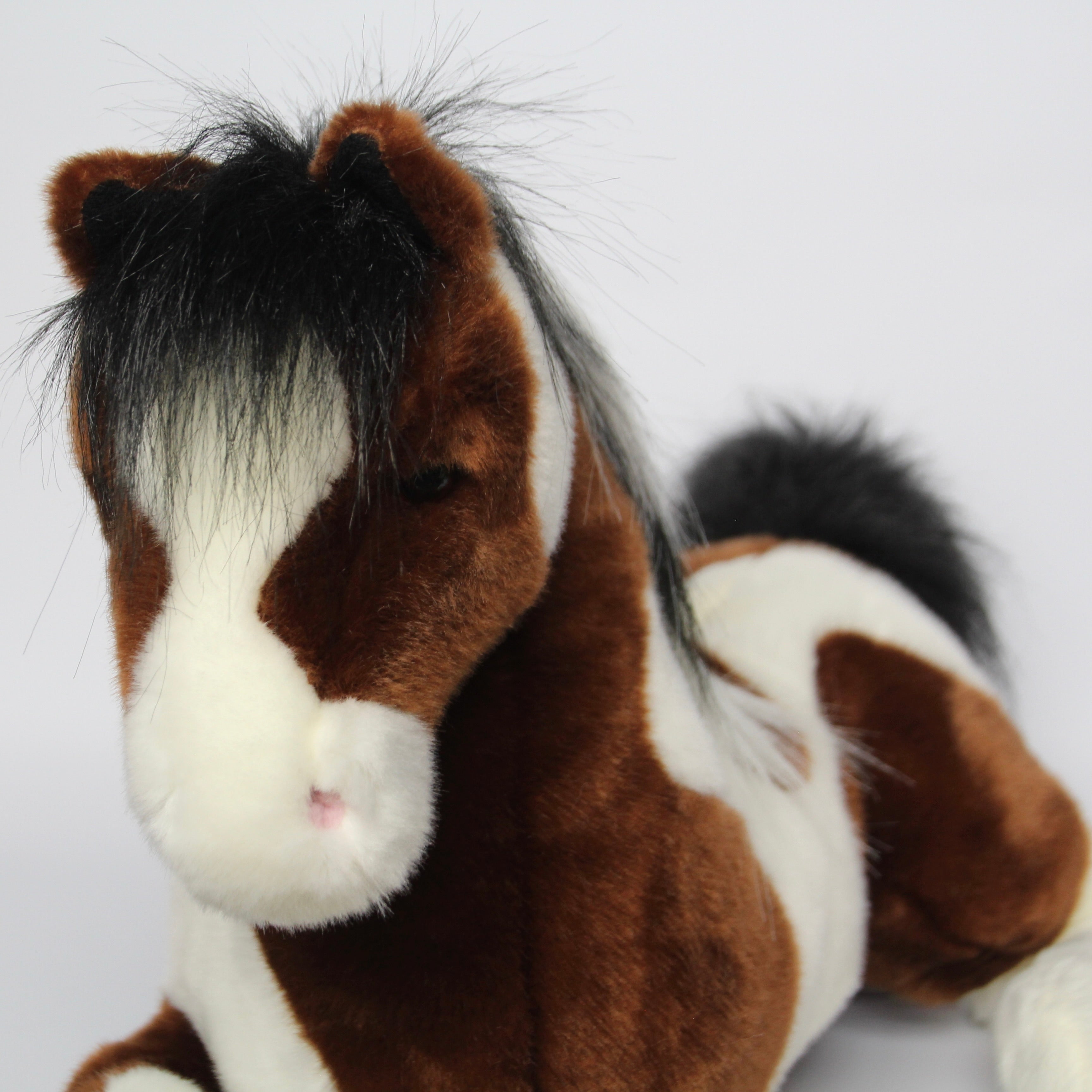 Natches Paint Horse