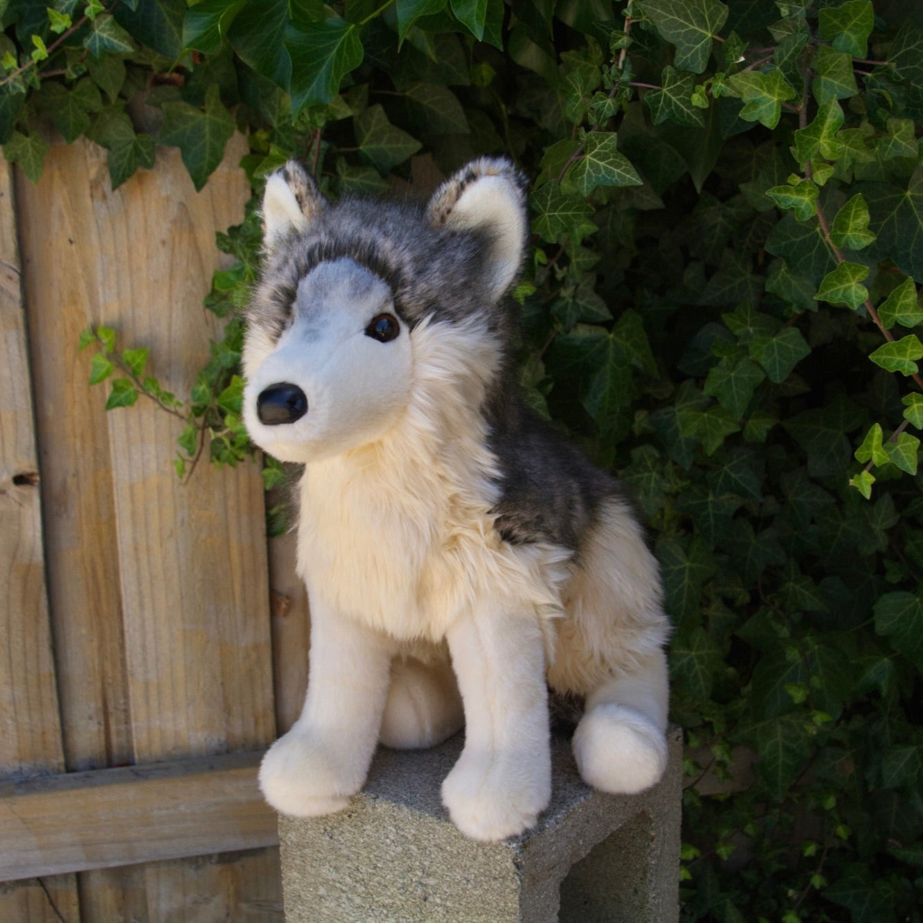 Smoke DLux Wolf